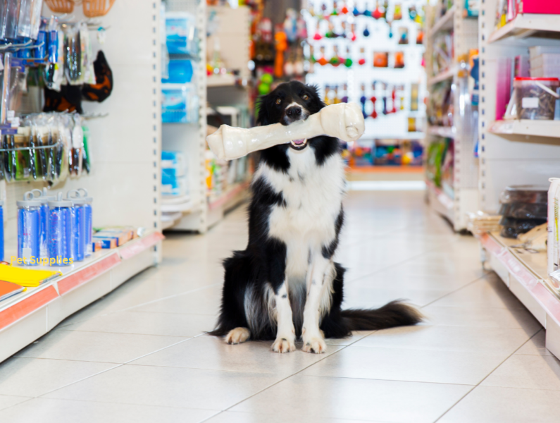 Pet Supplies